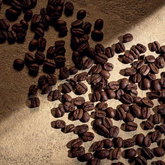 DG DEVOTION FOR MEN PARFUM 100ML